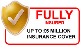 fully-insured